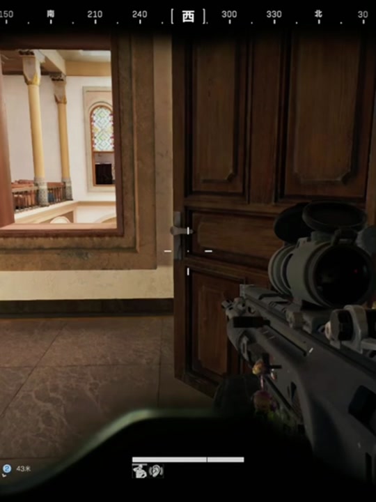 这种意见的 这种意见的