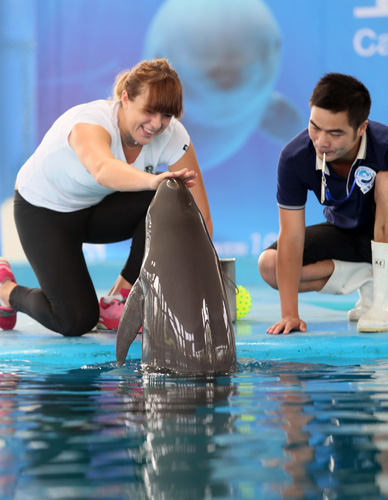 的核心问题 的核心问题